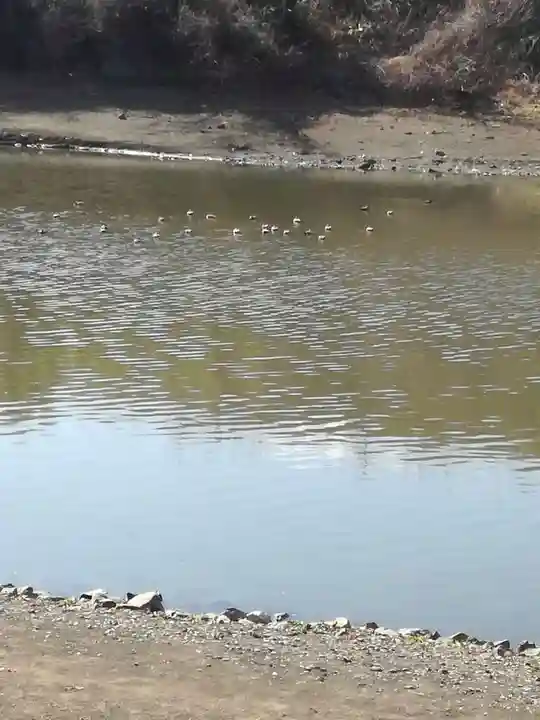 武蔵第六天神社の周辺
