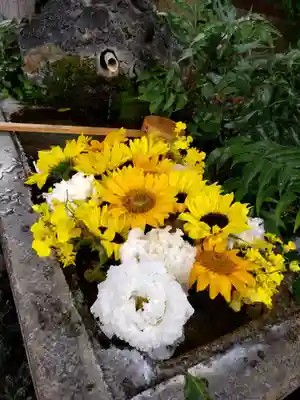本郷氷川神社(東京都)