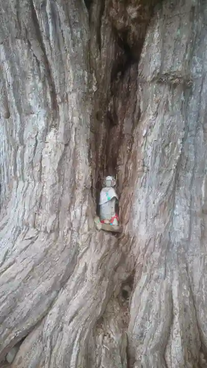 飛騨国分寺(岐阜県)