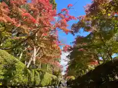 高野山金剛峯寺の自然