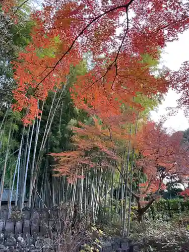 東漸寺(千葉県)
