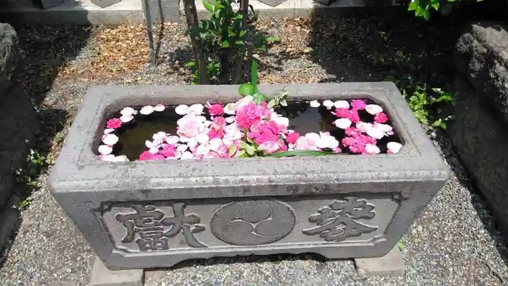 元町厳島神社の手水舎