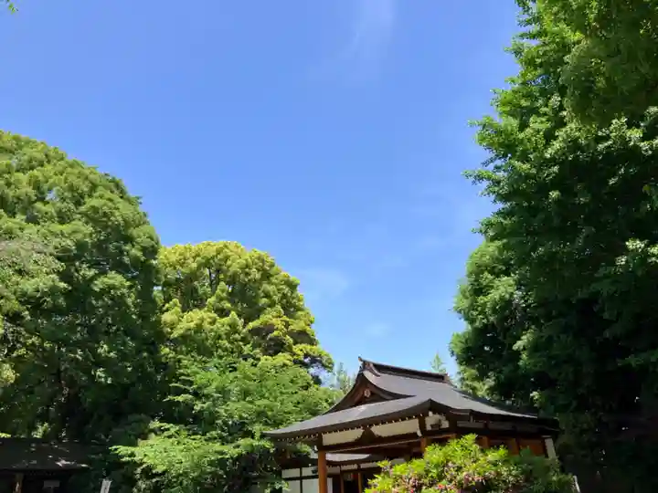 阿佐ヶ谷神明宮(東京都)