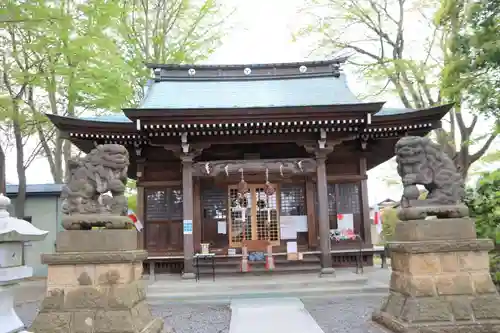 熊野福藏神社の狛犬