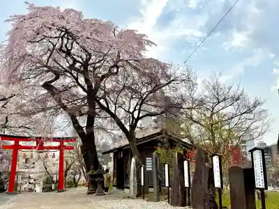 榴岡天満宮の{uncategorized: "未分類", other: "その他", undefined: "問題あり", building: "その他建物", grave: "お墓", sacred_gate: "鳥居", guardian: "狛犬", statue: "像", buddha: "仏像", history: "歴史", nature: "自然", garden: "庭園", animal: "動物", pagoda: "塔", temizu: "手水舎", mountain_gate: "山門・神門", sanctuary: "本殿・本堂", subordinate: "末社・摂社", art: "芸術", scenery: "景色", jizo: "地蔵", ema: "絵馬", goshuin: "御朱印", omikuji: "おみくじ", items: "授与品その他", amulet: "お守り", goshuincho: "御朱印帳", eats: "食事", festival: "お祭り", votive_dance: "神楽", shichigosan: "七五三参", wedding: "結婚式", experience: "体験その他", initially: "初詣", around: "周辺", anti_infection: "感染症対策"}