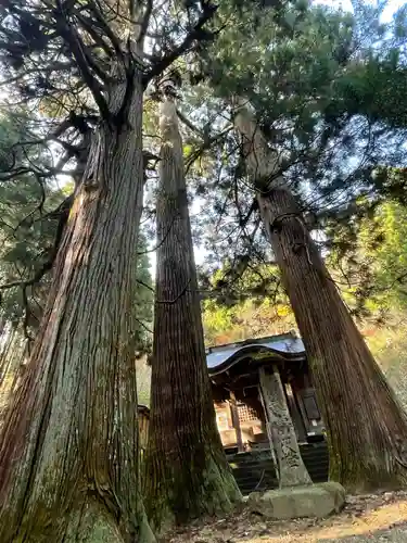藤沼神社の自然