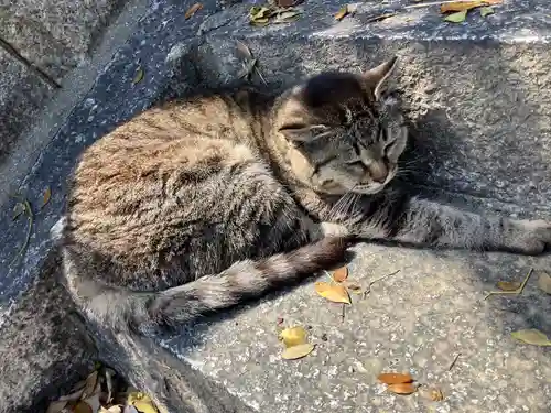 五香宮(岡山県)