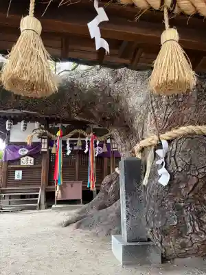 三島神社の{uncategorized: "未分類", other: "その他", undefined: "問題あり", building: "その他建物", grave: "お墓", sacred_gate: "鳥居", guardian: "狛犬", statue: "像", buddha: "仏像", history: "歴史", nature: "自然", garden: "庭園", animal: "動物", pagoda: "塔", temizu: "手水舎", mountain_gate: "山門・神門", sanctuary: "本殿・本堂", subordinate: "末社・摂社", art: "芸術", scenery: "景色", jizo: "地蔵", ema: "絵馬", goshuin: "御朱印", omikuji: "おみくじ", items: "授与品その他", amulet: "お守り", goshuincho: "御朱印帳", eats: "食事", festival: "お祭り", votive_dance: "神楽", shichigosan: "七五三参", wedding: "結婚式", experience: "体験その他", initially: "初詣", around: "周辺", anti_infection: "感染症対策"}