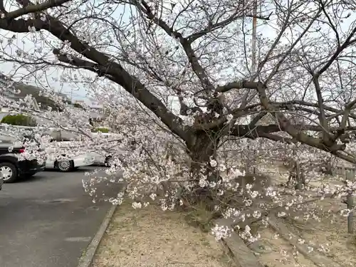 兵庫縣神戸護國神社(兵庫県)