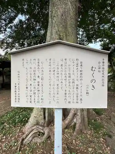 白山神社(東京都)