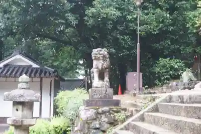 宇治上神社の狛犬