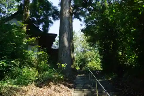 奥泉大井神社の自然