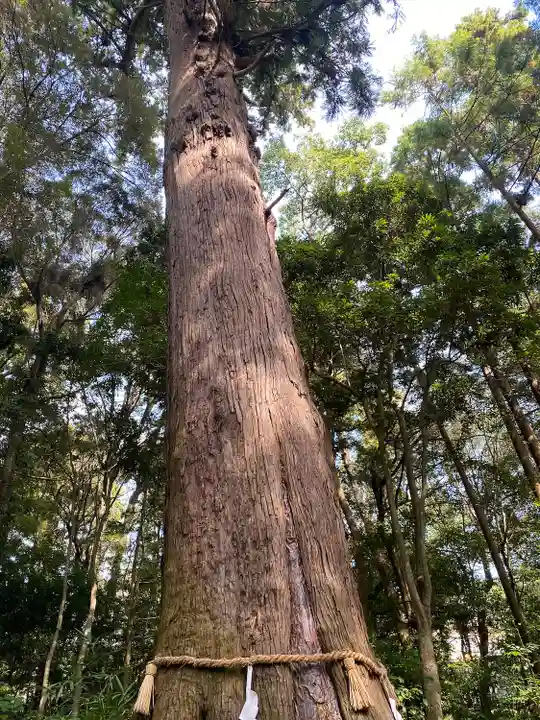 土佐神社(高知県)