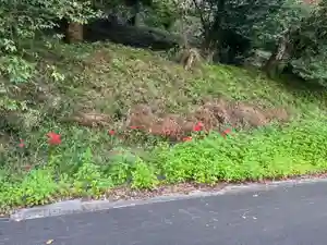 大宮温泉神社(栃木県)(2022年09月26日(月) 23時41分09秒投稿)
