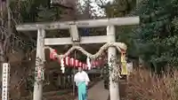 下野 星宮神社の鳥居