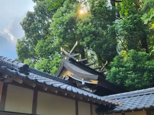 南方神社の本殿