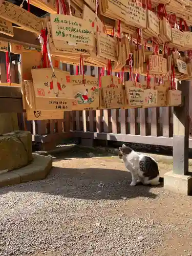 代々木八幡宮の絵馬
