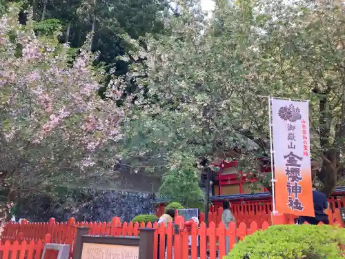 金櫻神社の{uncategorized: "未分類", other: "その他", undefined: "問題あり", building: "その他建物", grave: "お墓", sacred_gate: "鳥居", guardian: "狛犬", statue: "像", buddha: "仏像", history: "歴史", nature: "自然", garden: "庭園", animal: "動物", pagoda: "塔", temizu: "手水舎", mountain_gate: "山門・神門", sanctuary: "本殿・本堂", subordinate: "末社・摂社", art: "芸術", scenery: "景色", jizo: "地蔵", ema: "絵馬", goshuin: "御朱印", omikuji: "おみくじ", items: "授与品その他", amulet: "お守り", goshuincho: "御朱印帳", eats: "食事", festival: "お祭り", votive_dance: "神楽", shichigosan: "七五三参", wedding: "結婚式", experience: "体験その他", initially: "初詣", around: "周辺", anti_infection: "感染症対策"}