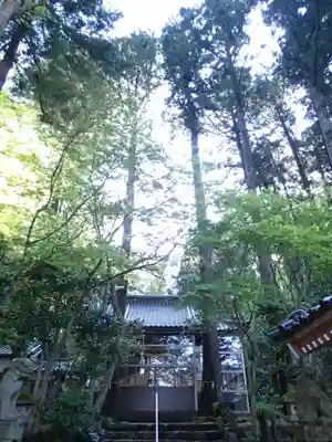 少名彦神社の自然