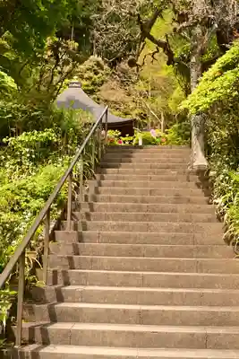法雲寺(埼玉県)