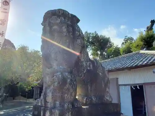 二宮神社の狛犬