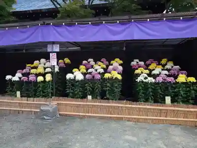 宗像大社(福岡県)