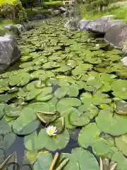 大生郷天満宮の自然