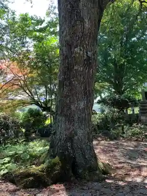 光厳寺(栃木県)