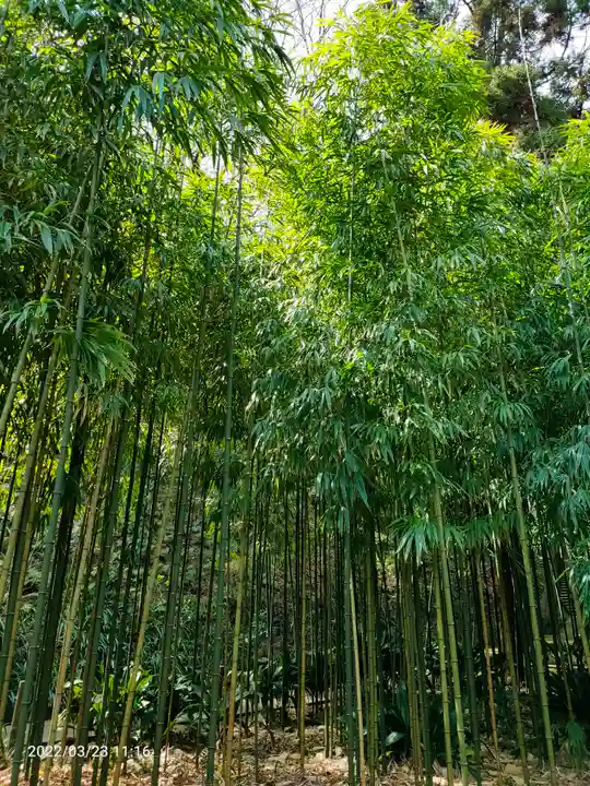 浄智寺(神奈川県)