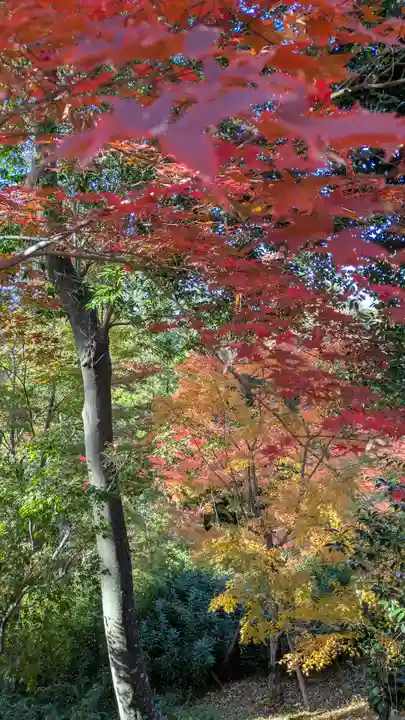 北野天満宮(京都府)