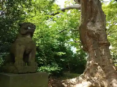 愛宕神社(福島県)