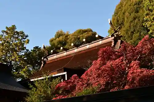 胡宮神社（敏満寺史跡）(滋賀県)