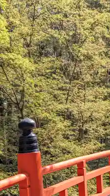 今熊野観音寺(京都府)