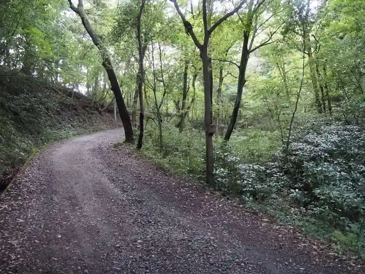 宝登山神社奥宮の周辺