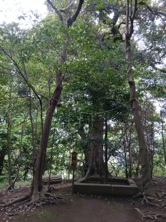 姉埼神社の{uncategorized: "未分類", other: "その他", undefined: "問題あり", building: "その他建物", grave: "お墓", sacred_gate: "鳥居", guardian: "狛犬", statue: "像", buddha: "仏像", history: "歴史", nature: "自然", garden: "庭園", animal: "動物", pagoda: "塔", temizu: "手水舎", mountain_gate: "山門・神門", sanctuary: "本殿・本堂", subordinate: "末社・摂社", art: "芸術", scenery: "景色", jizo: "地蔵", ema: "絵馬", goshuin: "御朱印", omikuji: "おみくじ", items: "授与品その他", amulet: "お守り", goshuincho: "御朱印帳", eats: "食事", festival: "お祭り", votive_dance: "神楽", shichigosan: "七五三参", wedding: "結婚式", experience: "体験その他", initially: "初詣", around: "周辺", anti_infection: "感染症対策"}