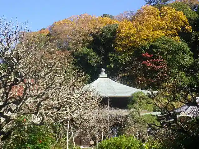 瑞泉寺のその他建物