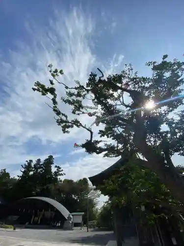 白鷺神社の景色