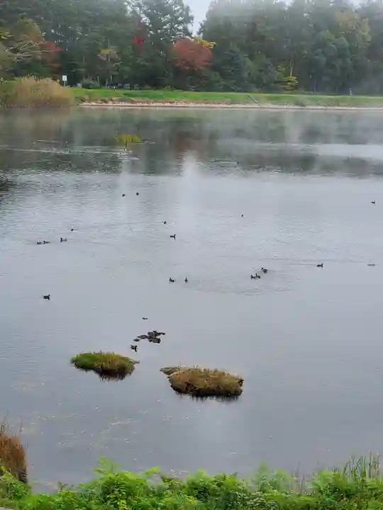 飯綱神社(長野県)