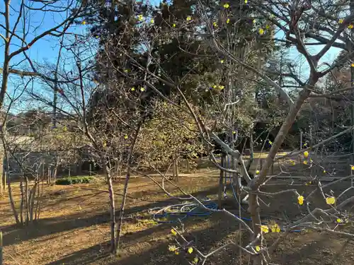 観音寺(千葉県)