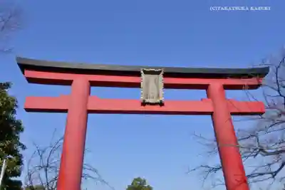 亀戸天神社の鳥居