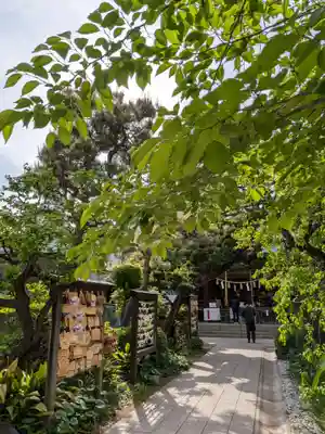 鳩森八幡神社(東京都)