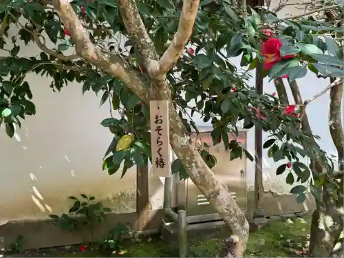 霊鑑寺門跡(京都府)