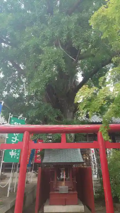 大福田寺(三重県)