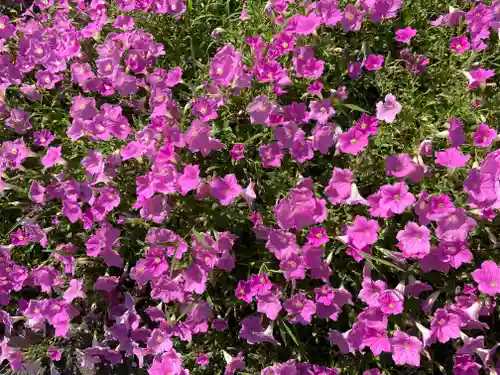 上宮天満宮(大阪府)