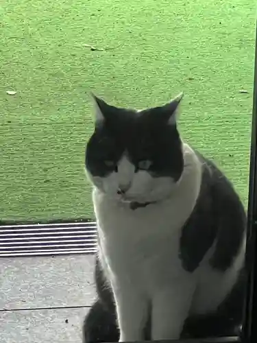榛名神社(群馬県)