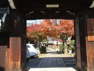 西向寺の山門・神門