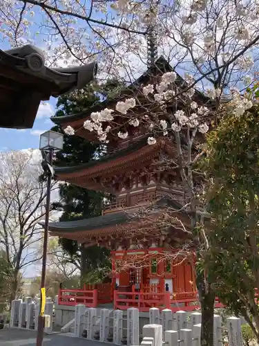 布施弁天 東海寺(千葉県)