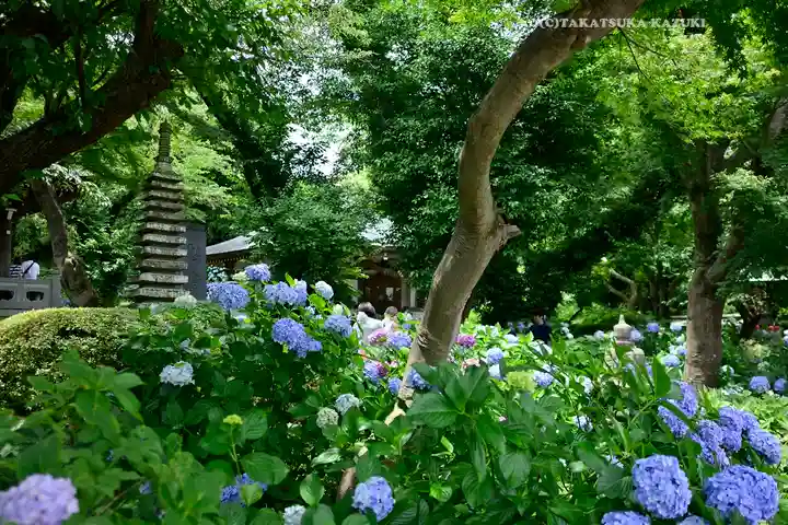 妙楽寺(神奈川県)