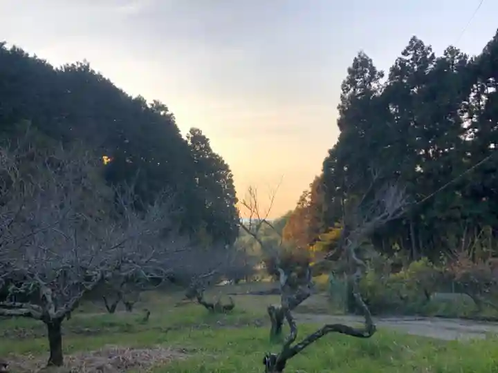 檜原神社(大神神社摂社)の自然