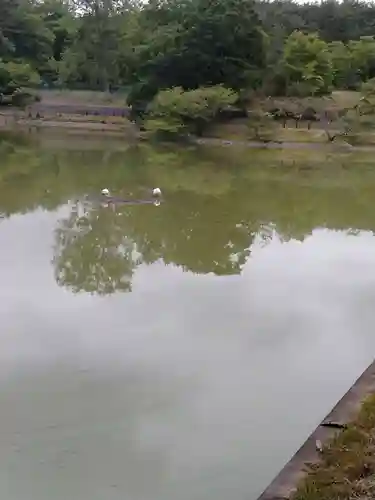 雷神社(宮城県)